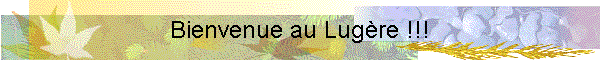 Bienvenue au Lugre !!!
